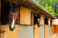 free Auchinleish stable construction quotes